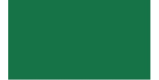 Oracal 751 061 Gloss Green 1 m  /assets/images/items/2378/0586441001539332370.jpg