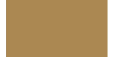 Oracal 751 811 Gloss Sahara Beige 1 m  /assets/images/items/2453/0095795001539550343.jpg