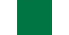 Oracal 970 Police Green Gloss 612 1.524 m  /assets/images/items/1170/0907199001512036348.jpg