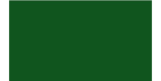 Oracal 751 078 Gloss Foliage Green 1 m  /assets/images/items/2394/0718236001539337908.jpg