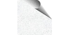 Poli-Flex Perform 4334 Glitter White  /assets/images/items/4303/0481199001591864140.jpg
