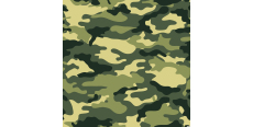 Camofilm А009 1.524 m  /assets/images/items/4137/0878524001574162404.jpg