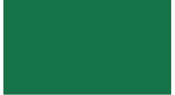 Oracal 751 061 Gloss Green 1 m
