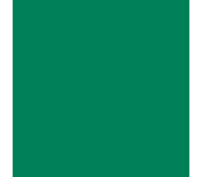 Siser P.S. Electric E0009 Green