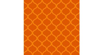 ORALITE 6900 Orange 1.235 m
