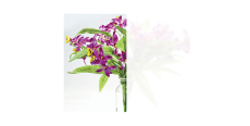 LLumar NRM WH PS 2 Decorative Dusted Frost 1.52 m  /assets/images/items/3440/0909587001553609567.jpg