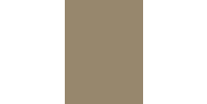 Cover Styl Khaki K4 - Матова плівка кольору хакі 1.22 m  /assets/images/items/5335/0382316001739264874.jpg
