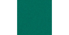 ORALITE 5300 Green 1.235 m  /assets/images/items/3891/0887223001570102806.jpeg