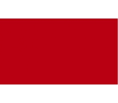 Oracal 751 031 Gloss Red 1 m