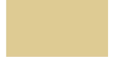 Oracal 751 804 Gloss Beige Brown 1 m  /assets/images/items/2452/0840371001539550224.jpg