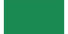Oracal 751 619 Gloss Traffic Green 1 m  /assets/images/items/2444/0178302001539549325.jpg
