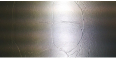 Orajet Silver Film under the skin of the reptile 1.524 m  /assets/images/items/790/0653321001502951144.jpg