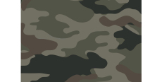 Camofilm А030 1.524 m  /assets/images/items/4153/0275117001574175837.jpg