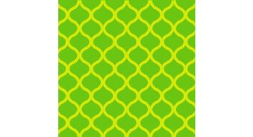 ORALITE 6910 Yellow Green 1.235 m