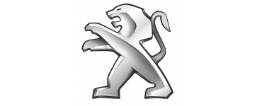 Peugeot | PLENKA.market