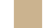 Siser P.S. Film A0037 Sand  /assets/images/items/1810/0987924001535726672.jpg