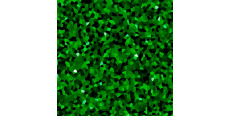 Siser Moda Glitter 2 G0009 Grass  /assets/images/items/1729/0152665001535664377.jpg
