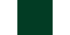 Siser P.S. Film Extra A0010 Dark Green  /assets/images/items/1844/0213631001535723636.jpg