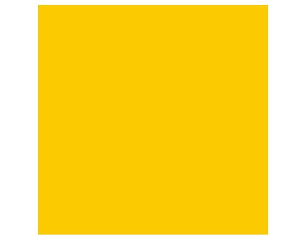 Oracal 970 Golden Yellow Gloss 020 1.524 m