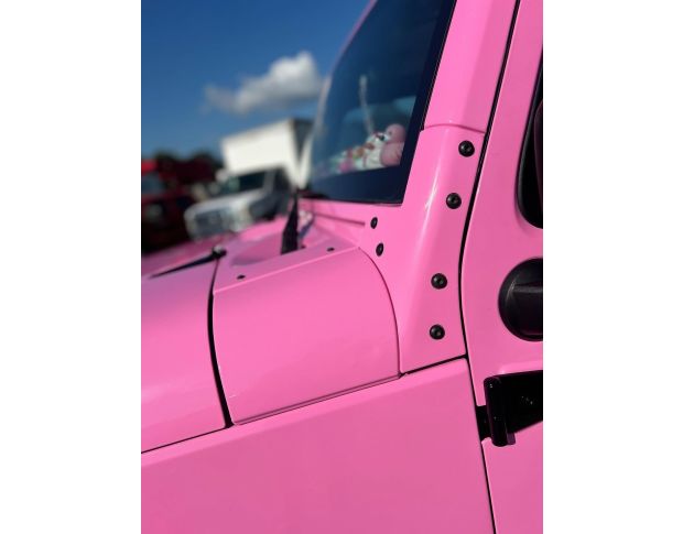 Oracal 970 Soft Pink Gloss 045 1.524 m