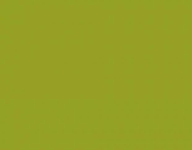 Oracal 970 Algae Green Gloss 688 1.524 m