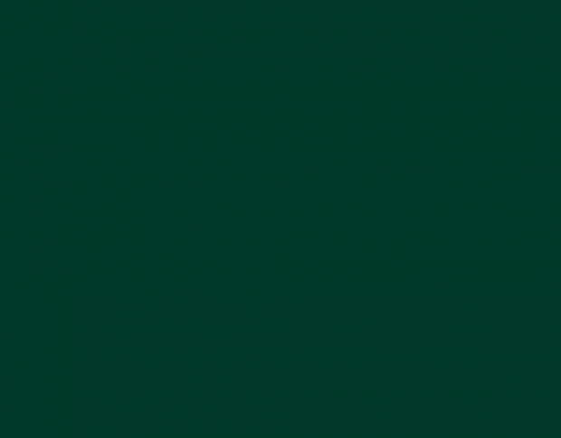 Oracal 970 Fir Tree Green Gloss 622 1.524 m