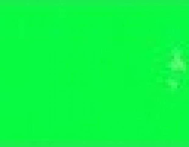 Poli-Flex Turbo 4941 Neon Green