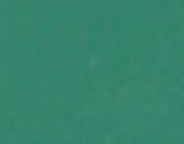 Poli-Flex Stretch 404 S Green