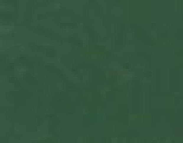 Poli-Flex Premium 407 Forest Green