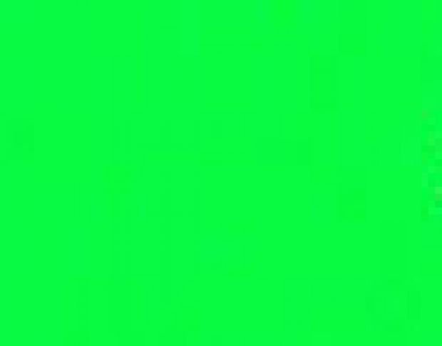 Poli-Flex Premium 441 Neon Green