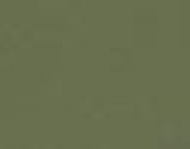 Poli-Flex Premium 469 Military Green