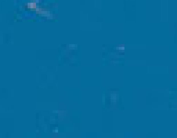 Poli-Flex Perform 4313 Turquoise