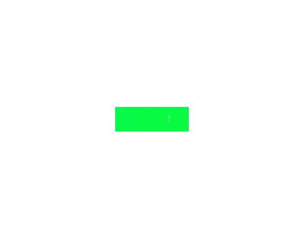 Poli-Flex Perform 4341 Neon Green