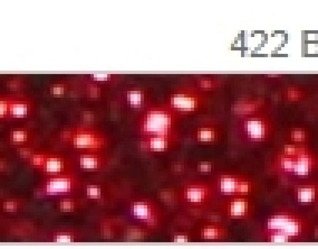 Poli-Flex Pearl Glitter 422 Burgundy
