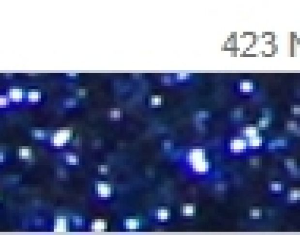 Poli-Flex Pearl Glitter 423 Navy Blue