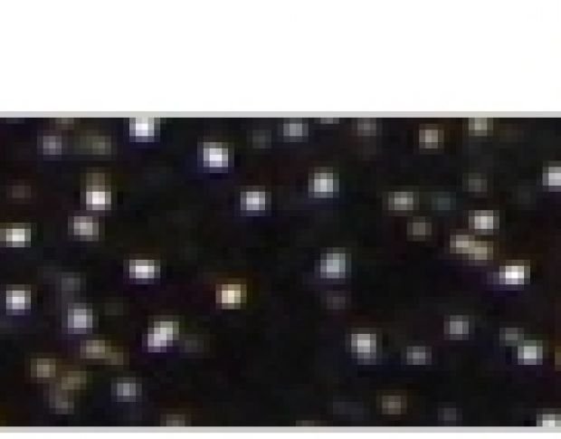 Poli-Flex Pearl Glitter 458 Black