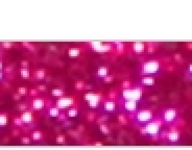 Poli-Flex Pearl Glitter 457 Pink