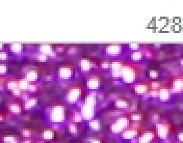 Poli-Flex Pearl Glitter 428 Lavender