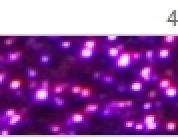 Poli-Flex Pearl Glitter 424 Purple
