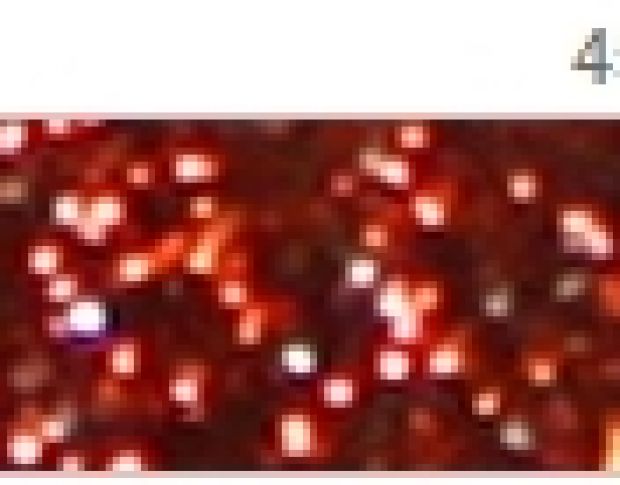 Poli-Flex Pearl Glitter 452 Bronze