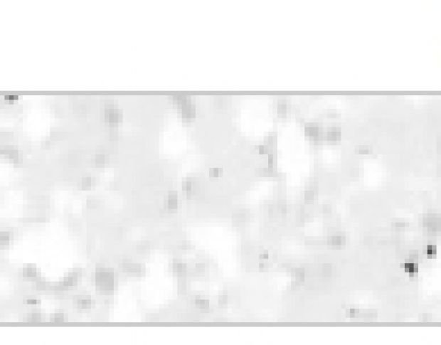 Poli-Flex Pearl Glitter 444 White