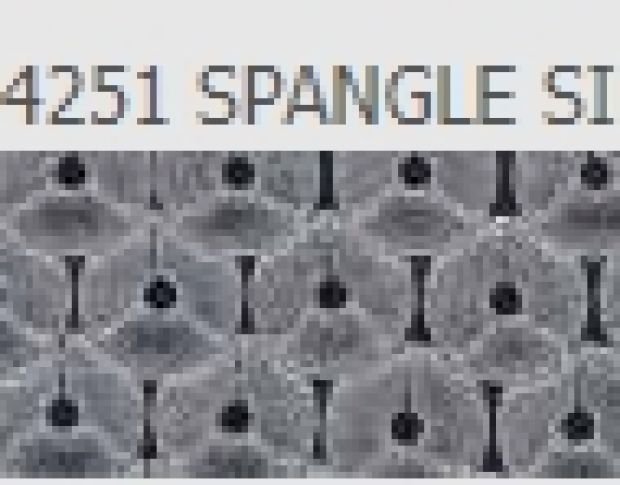 Poli-Flex Image 4251 Spangle Silver