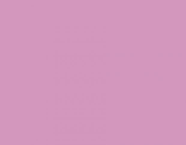 Siser Brick 1000 BK0024 Fluorescent Pink High Thickness