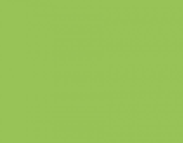 Siser Brick 1000 BK0026 Fluorescent Green High Thickness