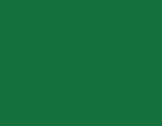 Siser Hi-5 H50009 Green