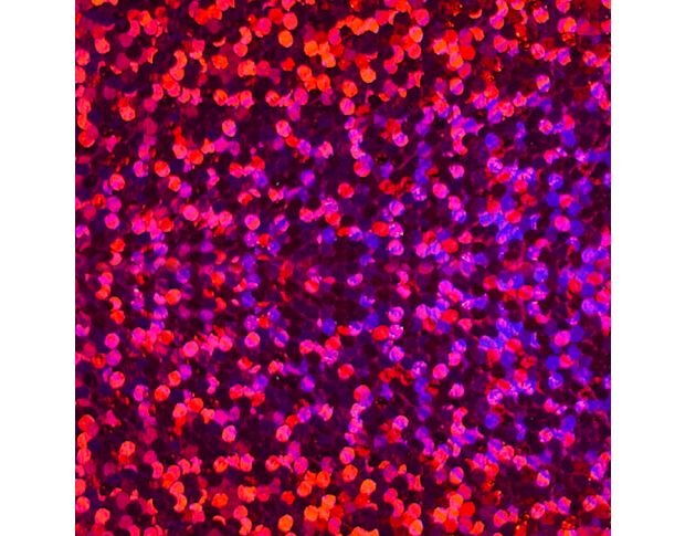 Siser HS Foil Fucsia