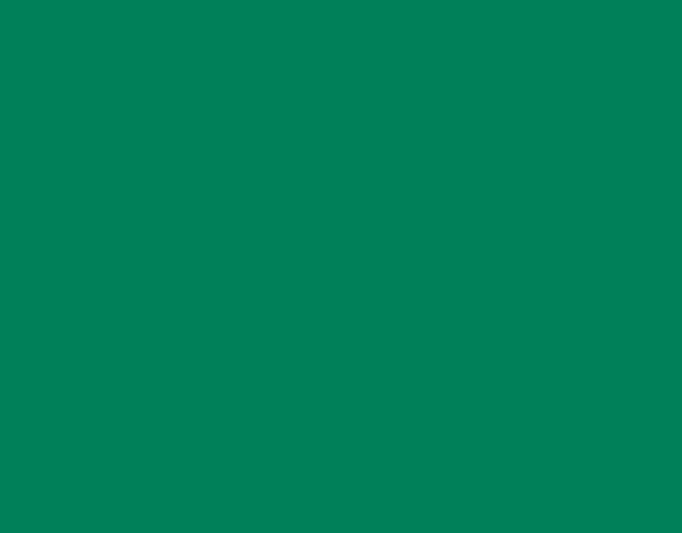 Siser P.S. Electric E0009 Green