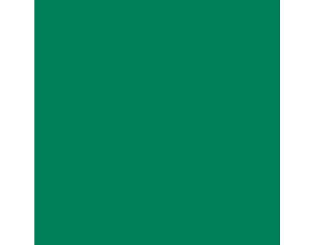 Siser P.S. Electric E0009 Green