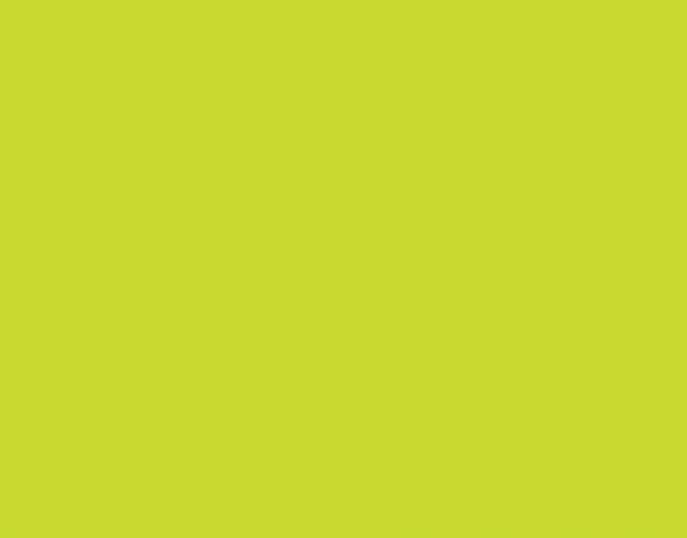 Siser P.S. Electric E0030 Lime