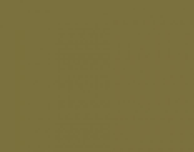 Siser P.S. Electric E0033 Olive
